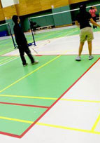 Pardoseli PVC, pardoseli, pardoseli omogen, pardoseli pvc eterogene, dale pvc, dale, pardoseli pvc pentru sport, tapet pvc, tapet, linoleum, pardoseli spitale, pardoseli cabinete medicale, pardoseli scoli