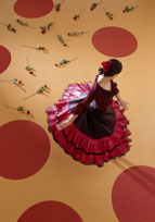 Pardoseli PVC, pardoseli, pardoseli omogen, pardoseli pvc eterogene, dale pvc, dale, pardoseli pvc pentru sport, tapet pvc, tapet, linoleum, pardoseli spitale, pardoseli cabinete medicale, pardoseli scoli