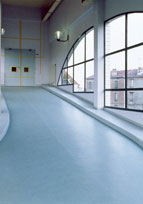 Pardoseli PVC, pardoseli, pardoseli omogen, pardoseli pvc eterogene, dale pvc, dale, pardoseli pvc pentru sport, tapet pvc, tapet, linoleum, pardoseli spitale, pardoseli cabinete medicale, pardoseli scoli