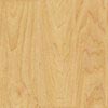 Pardoseli PVC, pardoseli, pardoseli omogen, pardoseli pvc eterogene, dale pvc, dale, pardoseli pvc pentru sport, tapet pvc, tapet, linoleum, pardoseli spitale, pardoseli cabinete medicale, pardoseli scoli